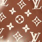Louis Vuitton Premium Casual Shorts